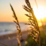 Kletsen over je innerlijke ja en nee (keuze)