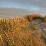 *Meditatie om je hart te voeden (belangrijker)