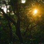 Zorgen voor je lichaam en voor je energie (keuze)