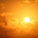 *Healing op afstand voor je rust en geluk (belangrijker)