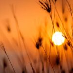 Boodschap over tijd jezelf ondersteunen in je herstelproces(keuze)