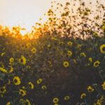 *Meditatie om je te verbinden met de universele bron van liefde (belangrijker)