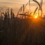 Zorgen voor je lichaam wanneer je moe bent (keuze)