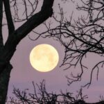 *Afsluiting: stilstaan bij waar je van geniet (belangrijker)