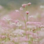 Oefening om even helemaal te zijn (keuze)