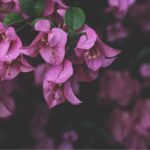 Zorgen voor je lichaam en zorgen voor je schouders (keuze)