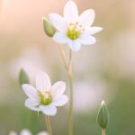 Zorgen voor je lichaam en zorgen voor je schouders (keuze)