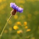 Zorgen voor je lichaam om te ontprikkelen (keuze)