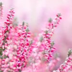 Zorgen voor je lichaam om te ontprikkelen (keuze)