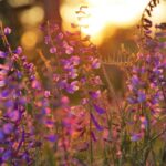 Zorgen voor je lichaam en lekker wakker worden (keuze)