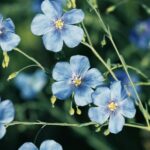 Zorgen voor je lichaam en voor je nek en schouders (keuze)