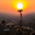 Zorgen voor je lichaam en lekker wakker worden (keuze)