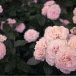 Oefening een brief naar je ziel schrijven (keuze)