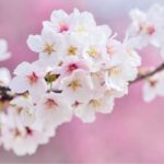 *Afsluiting: jezelf heerlijke energie geven (belangrijker)