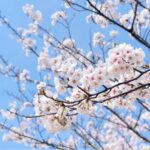 *Meditatie om je af te stemmen op je intuïtie (belangrijker)