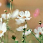 Zorgen voor je lichaam en alles losmaken (keuze)