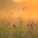 Zorgen voor je lichaam en voor je rug en schouders (keuze)