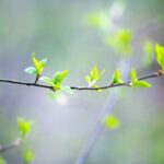 Kletsen over waar je je in herkent (keuze)