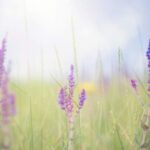 Zorgen voor je lichaam en je lichaam bedanken (keuze)