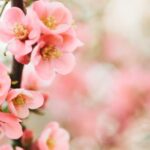 Zorgen voor je lichaam en afvalstoffen afvoeren (keuze)