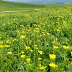 Zorgen voor je lichaam en afvalstoffen afvoeren (keuze)