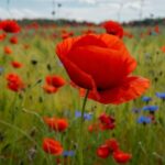 *Les: de sterrenbeeld op zielsniveau bekeken (belangrijker)