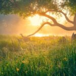 Zorgen voor je lichaam en voor je rug en schouders (keuze)