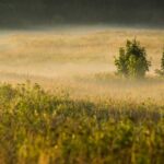 *Meditatie om je te verbinden met het liefdevolle universum (belangrijker)