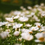 *Meditatie om je af te stemmen op je intuïtie (belangrijker)