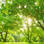 *Meditatie om jezelf te bevrijden (belangrijker)