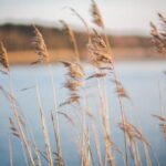 *Meditatie om blokkades in je lichaam zacht los te laten (belangrijker)