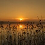 Oefening om overal liefde in te stoppen (keuze)