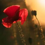 *Meditatie om jezelf een healing te geven (belangrijker)