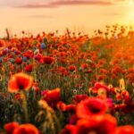 *Les: je eigen rituelen creëren (belangrijker)
