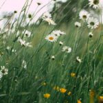 *Healing op afstand om je gewoon helende energie te geven (belangrijker)